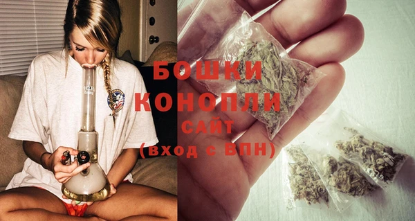 твердый Козельск