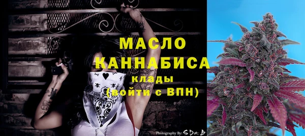 твердый Козельск