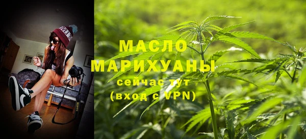 твердый Козельск