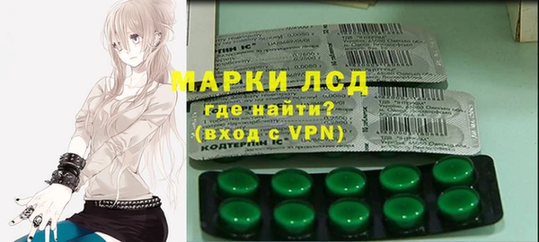 твердый Козельск