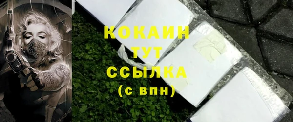 твердый Козельск