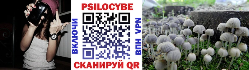 Купить где  Каневская  Псилоцибиновые грибы GOLDEN TEACHER